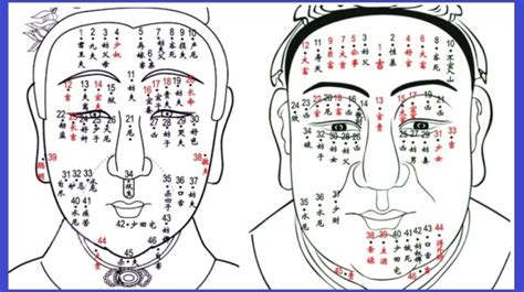 為甚麼會長痣|為什麼會長痣：解析痣的成因與注意事項